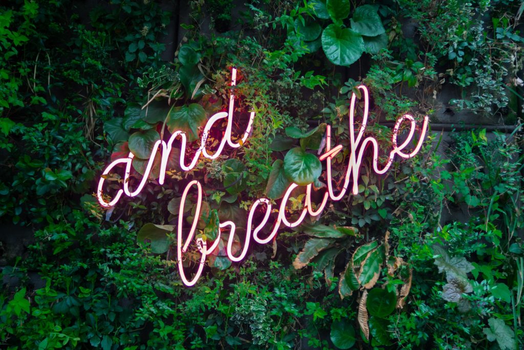 A neon light that says "and breathe" against a background of vibrant greenery on a wall